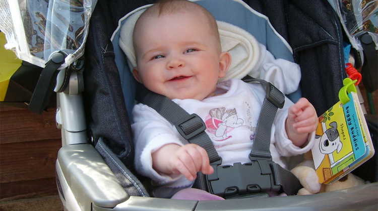 pushchair car seat system