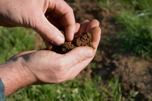 ewingirrigation-soil_test_dirt_earth_turf-resized-600